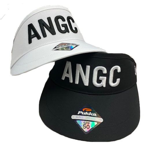 Angeles Winner Visor（BLACK）